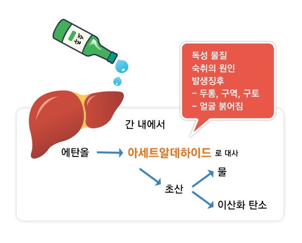 '수소 水'로 활성산소 중화···'숙취 해소'에도 영향